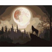 Набір картин за номерами 2 в 1 Ідейка