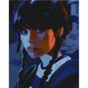 Набір картин за номерами 2 в 1