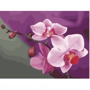 Картина по номерам Идейка Букеты Розовые орхидеи 40*50см KHO1081