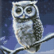 Алмазна мозаїка без підрамника