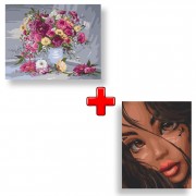 Набор картин по номерам 2 в 1