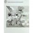 Навчальна книга Навчальна книга