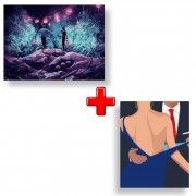 Набор картин по номерам 2 в 1