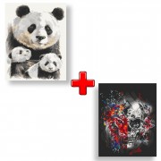 Набор картин по номерам 2 в 1