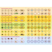 Дитячі розумні наклейки