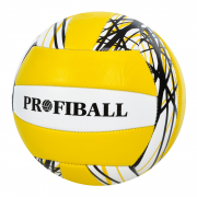 Мяч волейбольный Profi EV-3372 диаметр 21 см