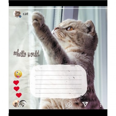 Тетрадь ученическая 