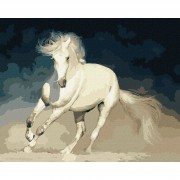 Набір картин за номерами 2 в 1