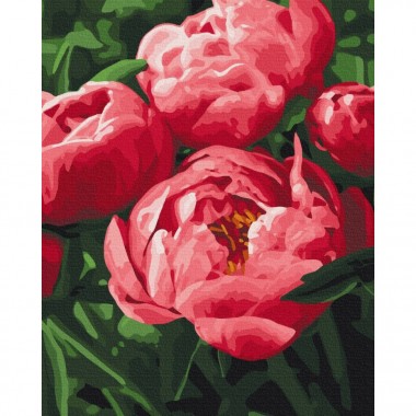 Картина по номерам Насыщенный цвет пионов BS51711, 40x50 см
