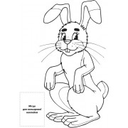 Книга. Серія: Наклей та розфарбуй. 4+4 "Чарівний ліс" 402023