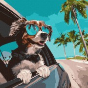 Набор картин по номерам 2 в 1