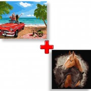 Набор картин по номерам 2 в 1