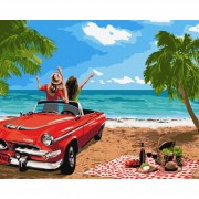 Набор картин по номерам 2 в 1