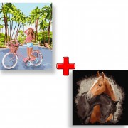 Набір картин за номерами 2 в 1