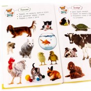 Обучающая фотокнига. Царство животных 117686