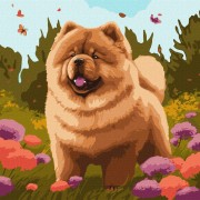 Набор картин по номерам 2 в 1