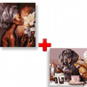 Набір картин за номерами 2 в 1