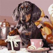 Набір картин за номерами 2 в 1