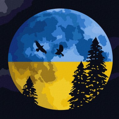 Набір картин за номерами 2 в 1 