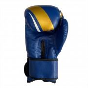 Рукавички боксерські Fight Gear Team Club NE-BOX-BF-12-BL, 12 oz, сині