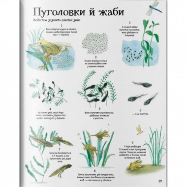 Детская большая иллюстрированная книга о природе Жорж 104010