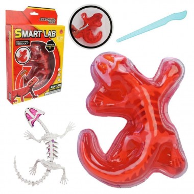 Детский лабораторный набор Ящерица 803B, скелет, внутренние органы Детский лабораторный набор Ящерица 803B, скелет, внутренние органы