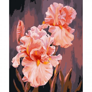 Картина за номерами "Рожеві іриси" Art Craft 13140-AC 40х50 см
