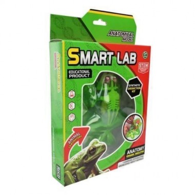 Детский лабораторный набор Лягушка 801B, скелет, внутренние органы Детский лабораторный набор Лягушка 801B, скелет, внутренние органы