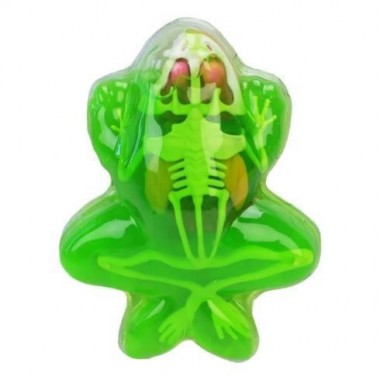 Детский лабораторный набор Лягушка 801B, скелет, внутренние органы Детский лабораторный набор Лягушка 801B, скелет, внутренние органы