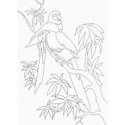 Розпис на полотні. Art Craft Папуги 25х30 см 15507-AC