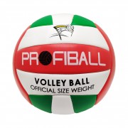 Мяч волейбольный Bambi EV-3159  20,7 см