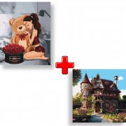 Набір картин за номерами 2 в 1