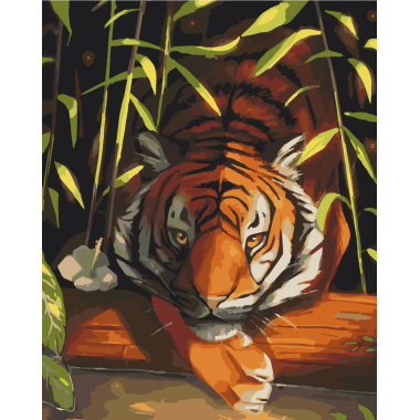Картина за номерами. Art Craft "Бенгальський тигр" 40 * 50 см 11618-AC