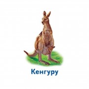 Настільна гра Парочки: Світ тварин 1392003, 6 ігор