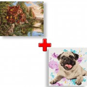 Набор картин по номерам 2 в 1