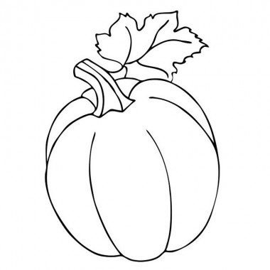 Большая книга раскрасок Для малышей 1736027, 64 страницы