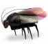 Животные жук люминисцентный 775 (930308)