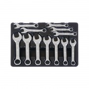 Набір комбінованих ключів 12 одиниць в ложементі