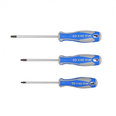 Викрутка TORX Т25 х100мм без отвору