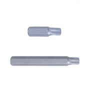 Біта Torx Т25 (10 х 80 мм)