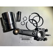 Поршень в сборе для AB 598-AP-